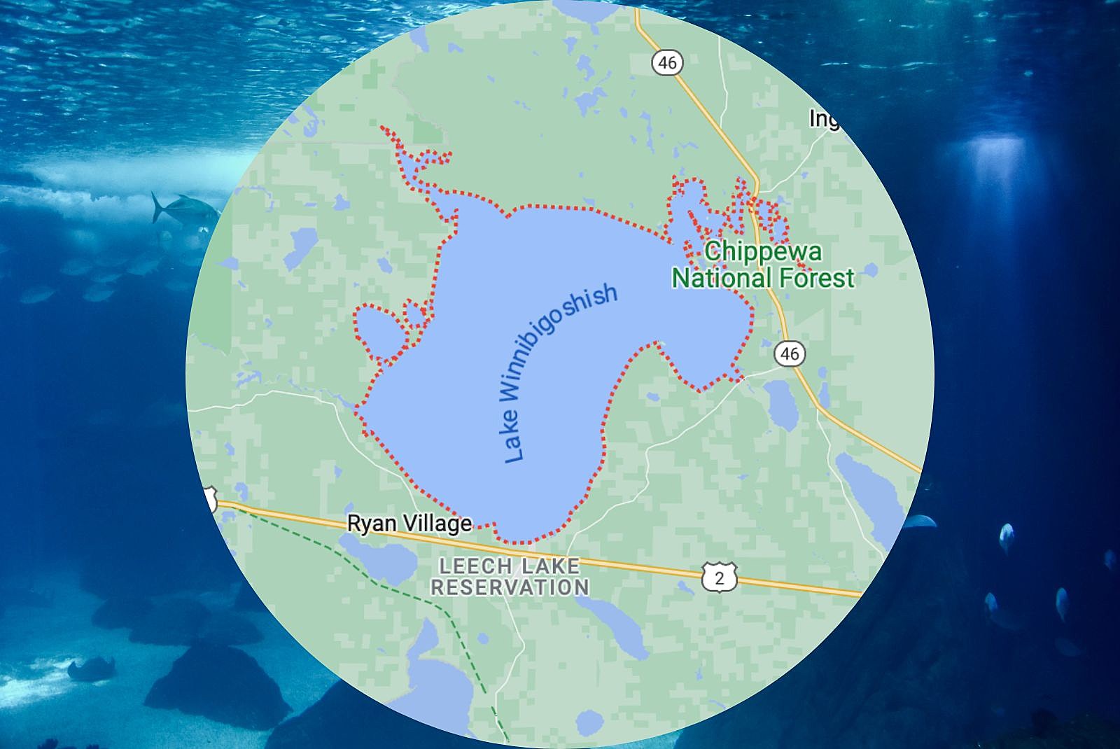 Lake Winnibigoshish Minnesota-Google Maps