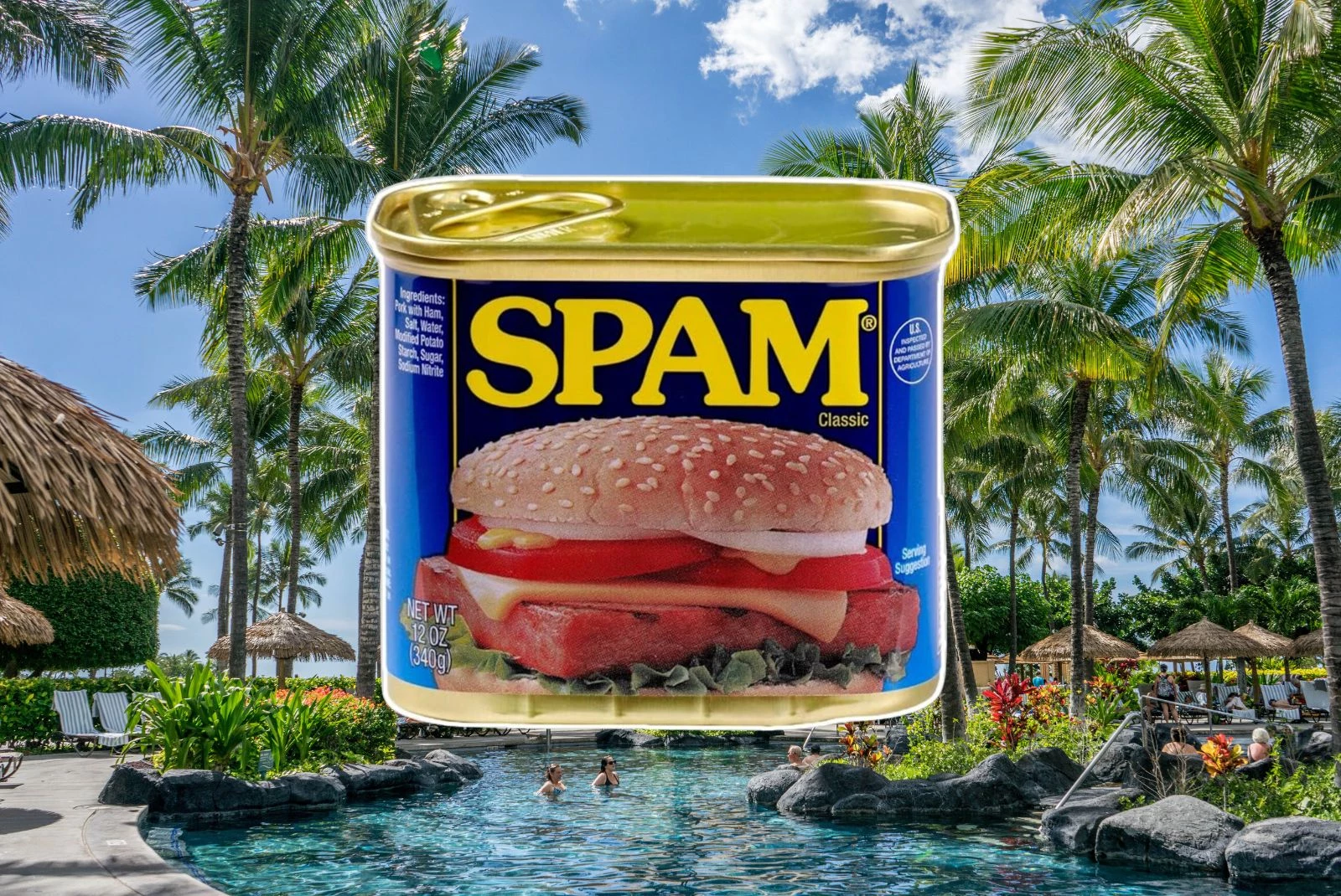 Minnesota Company Partners With Hawaii For Cool New Spam Can-Amazon / Getty Thinkstock