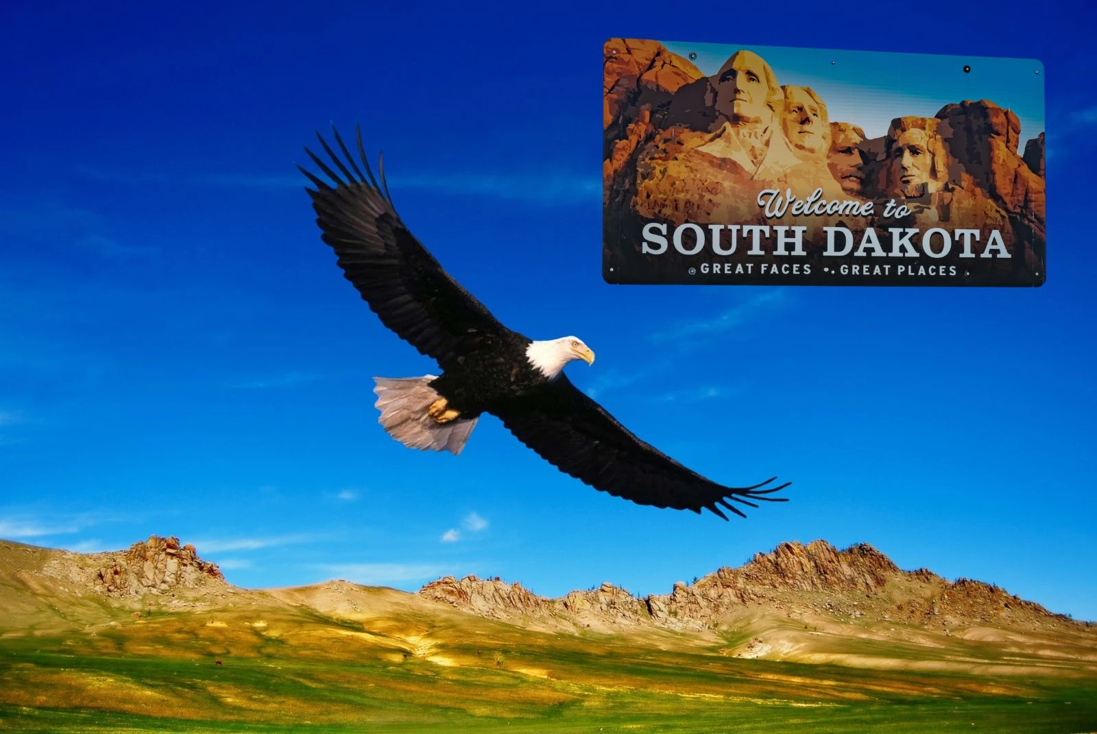 Is It Illegal To Get Caught With An Eagle Feather In South Dakota-Getty Thinkstock