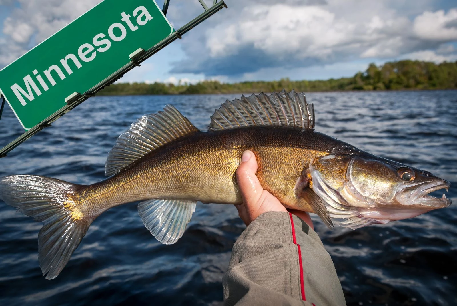 Can These Really Be The 8 BEST Fishing Lakes In All Of Minnesota-Getty Thinkstock