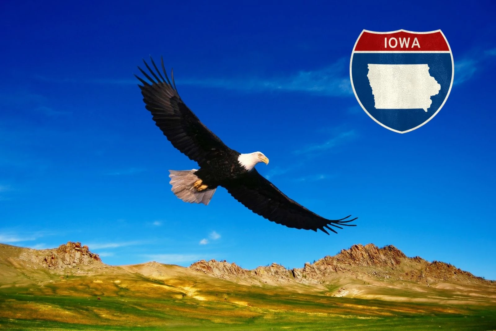 Is It Illegal To Get Caught With An Eagle Feather In Iowa-Getty Thinkstock