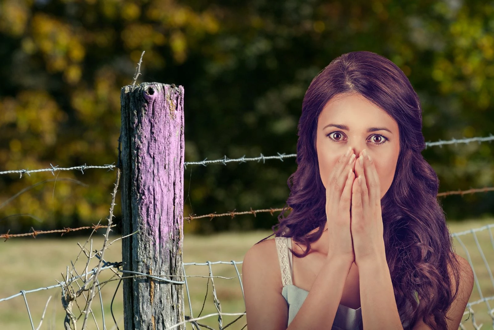 Better Beware If You See Purple Paint On Fence Posts In Iowa-Getty Thinkstock