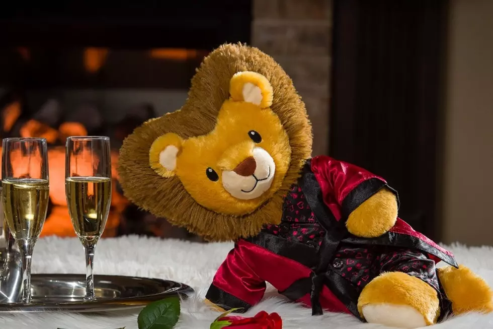 Build-A-Bear Has Adult-Themed Plushies for Grown-Ups, Including a Sexy Lion