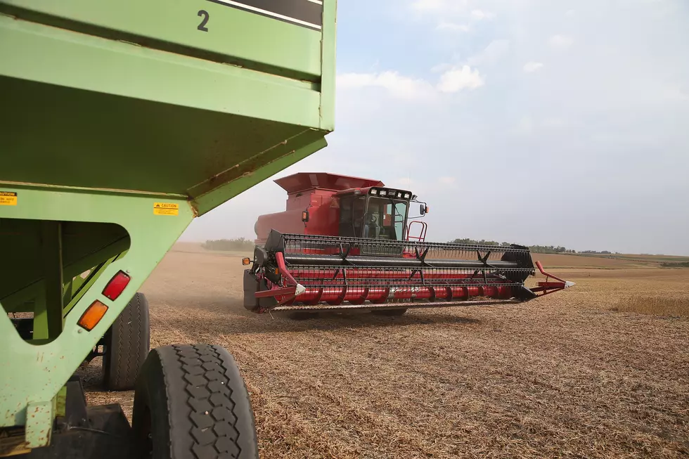 South Africans Coming to South Dakota to Help with Fall Harvest