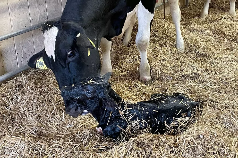Look At This Adorable New Sioux Falls Resident
