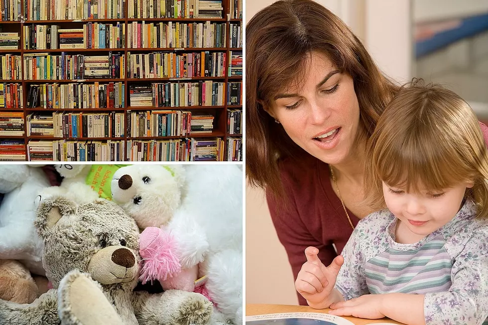 Toy Lending Library Announces Two New Locations