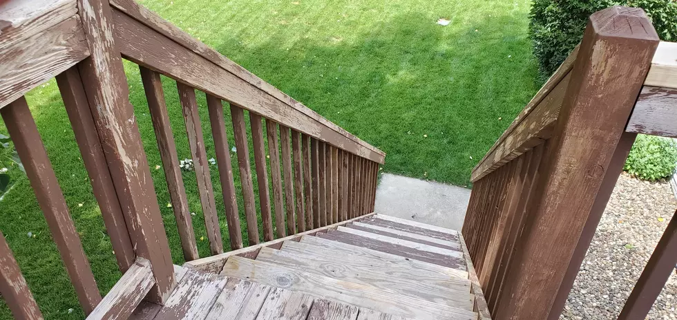 Noseeums Are The Tiny Pests Ruining Your Outdoor Fun
