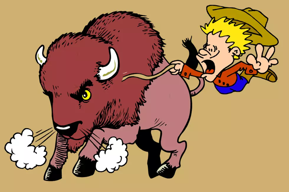 Buffalo Roundup: Trailer Hauling 40 Buffalo Flips near Fort Pierre
