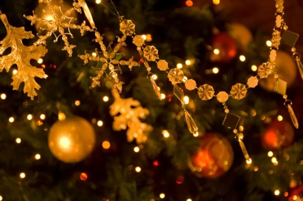 Festival of Trees and Lights Free Family Fun After Thanksgiving