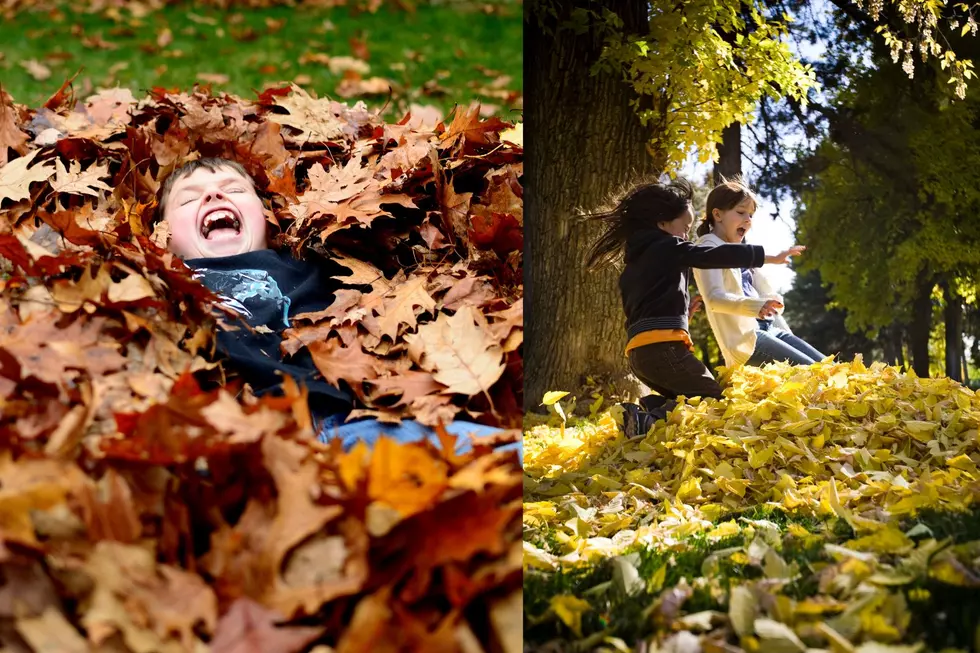 You Have Permission Not To Rake Your Leaves This Year