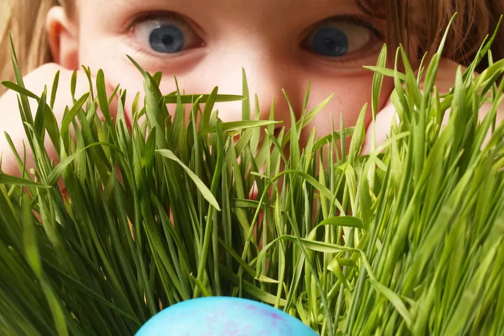 Downtown Sioux Falls Easter Egg Hunt Will Thrill
