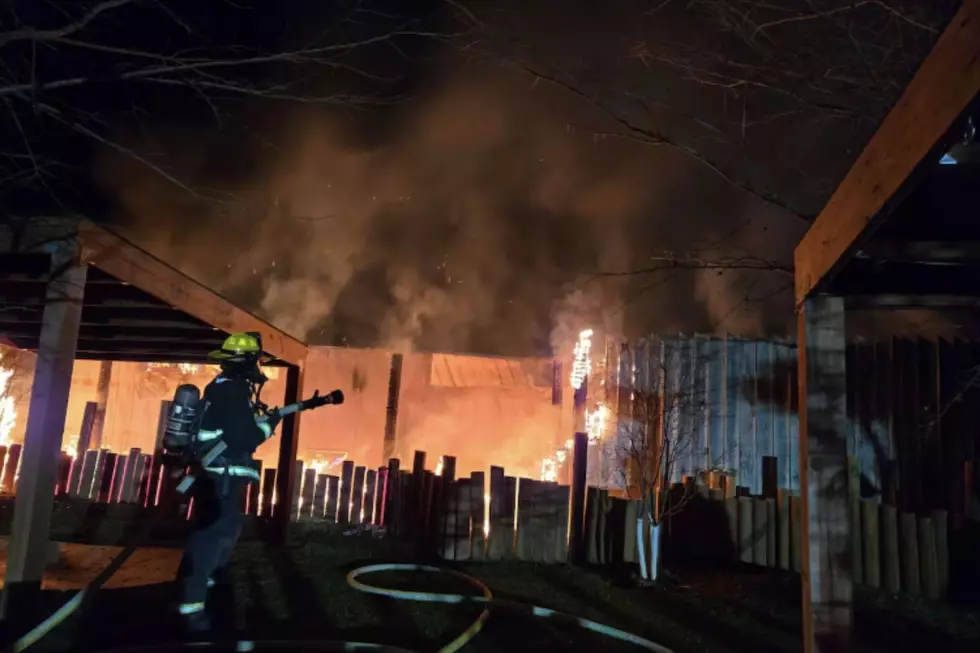 Reptile Gardens Near Rapid City Reopens After Devastating Fire Loss