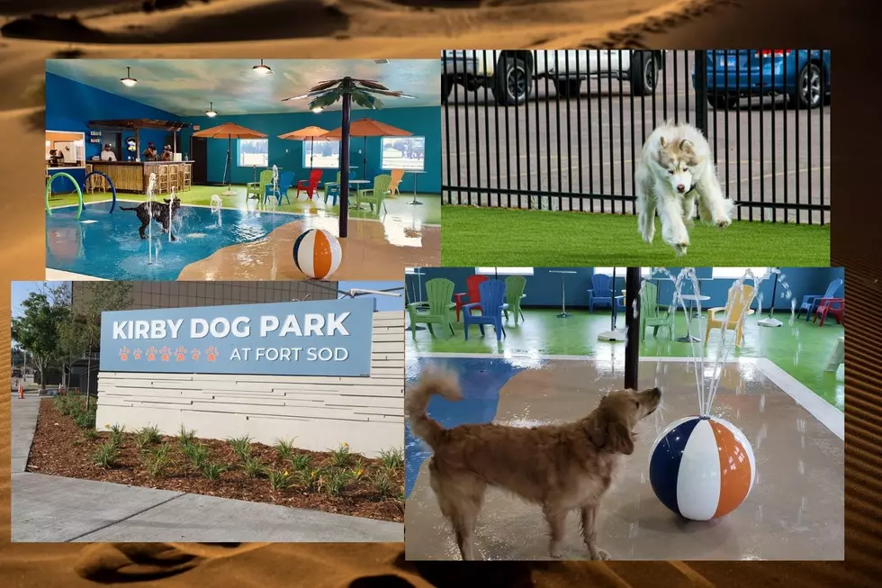 A Dog’s ‘Dog Day’ Celebration Destination