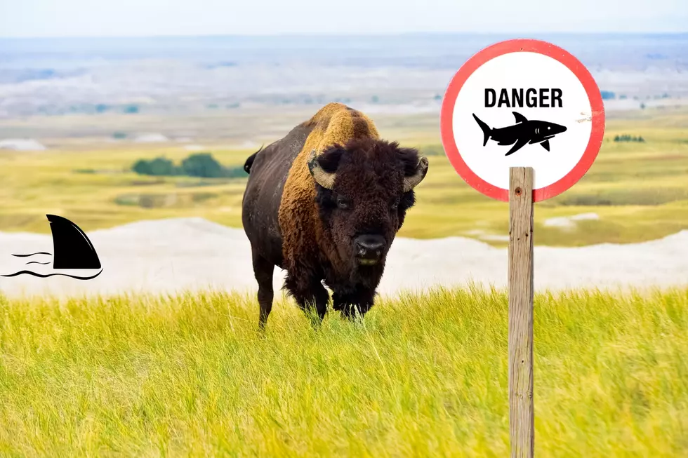 South Dakota Again Free of Shark Attacks in 2022